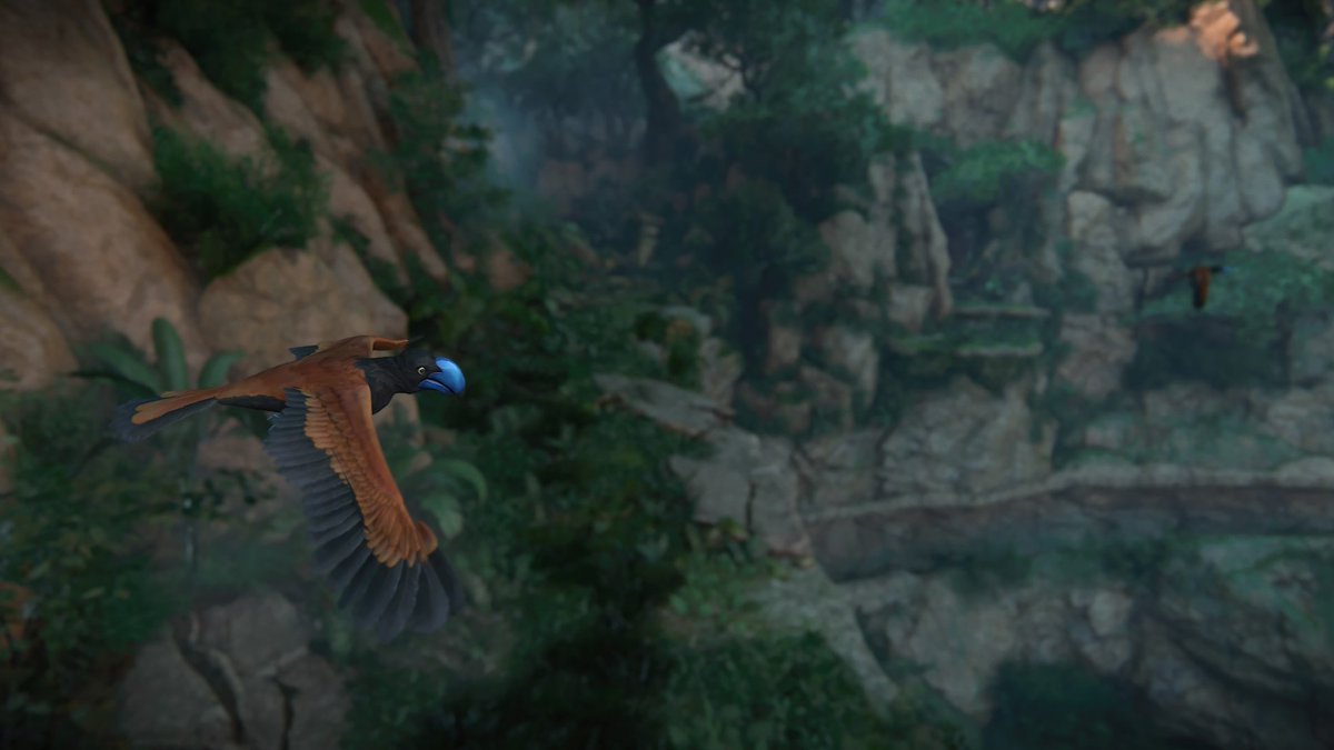 its_juneta's tweet photo. When I play Uncharted, I'm definitely here for the nature photography opportunities #PS4share #FridayNightRager https://t.co/GE1sn3WLQA