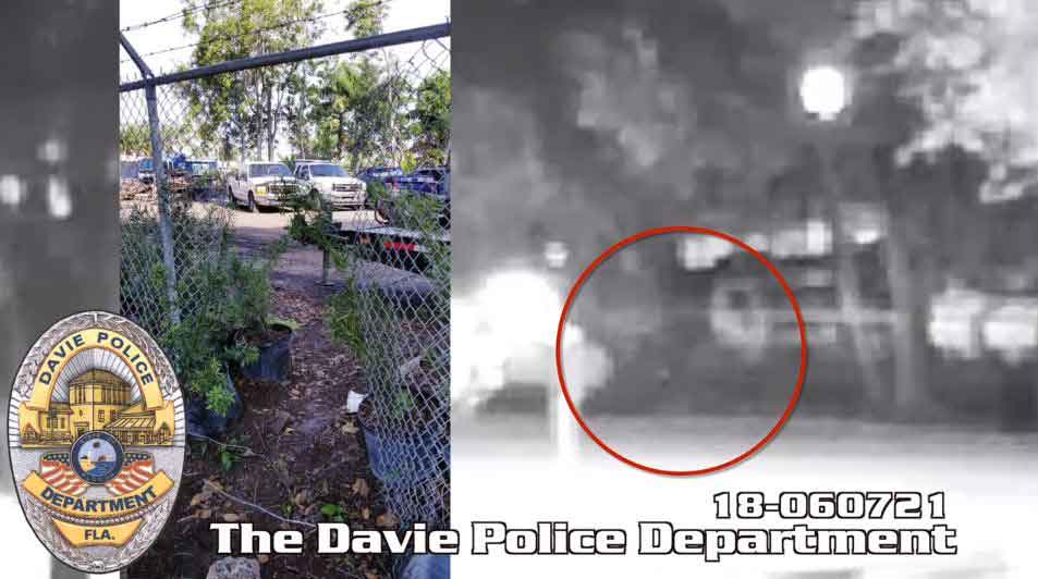 Burglars crash into a police car during failed getaway in Davie, police say bit.ly/2yby2cD?utm_so… https://t.co/MZlArbKO73