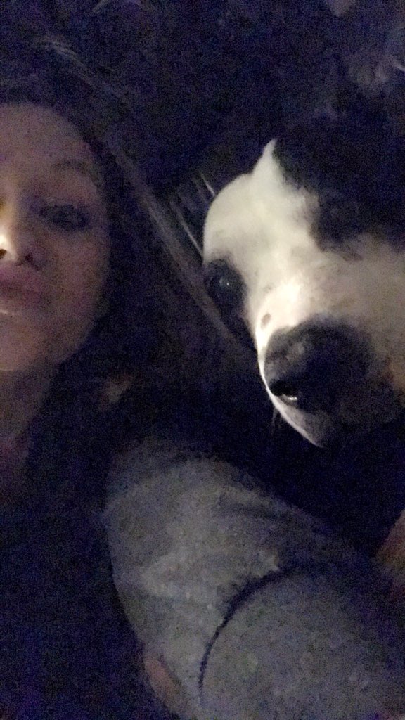 KristiHartTP's tweet photo. We are sure going to miss this sweet guy! @AMOS_EDC_TPBOI you’ve given him a long and happy life!! Deeoohhgee 🐕
#PitBull #HesNotSoScary #JustSlobbery https://t.co/IeUwELTcqa