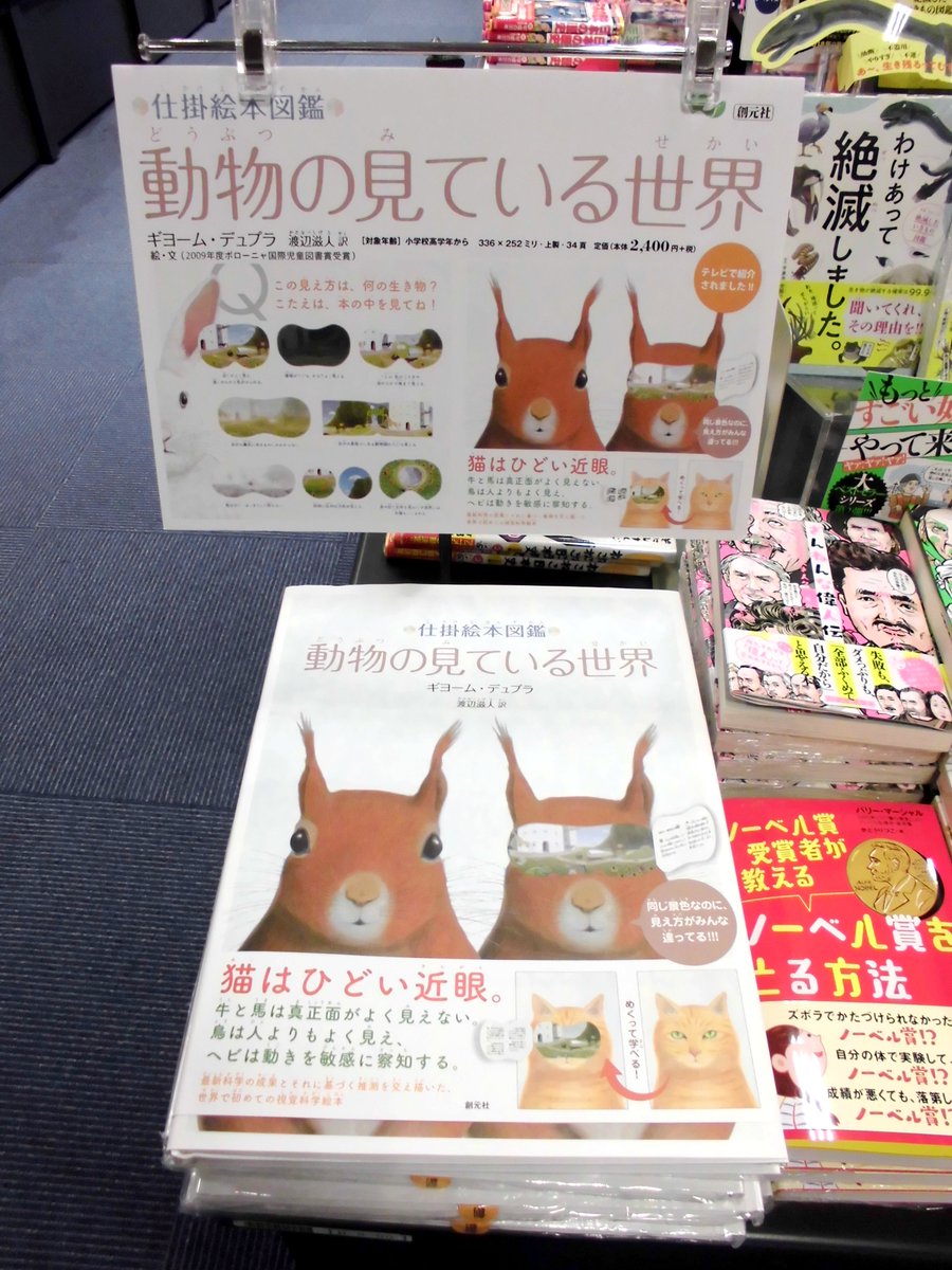 有隣堂セレオ八王子店 בטוויטר 児童書 ちょっと面白い絵本をご紹介 仕掛絵本図鑑 動物の見ている世界 動物 や昆虫たちには風景がどんなふうに見えているのか かおについている扉を開けるとわかります 同じ風景を見ているので 比べると楽しい本です セレオ 有隣堂セレオ八王子店 בטוויטר 児童書 ちょっと面白い絵本をご紹介 仕掛絵本図鑑 動物の見ている世界 動物 や昆虫たちには風景がどんなふうに見えているのか かおについている扉を開けるとわかります 同じ風景を見ているので 比べると楽しい本です セレオ