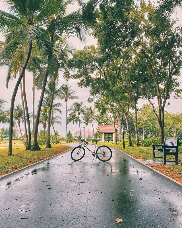 Saturday feels!!
.
.
.
.
#fall #leaves #saturday #morning #cycling #singapore #agameoftones #visualambassadors #withgalaxy #galaxys9 #shotfromthegalaxy #mobileshot ift.tt/2RJ1sHj