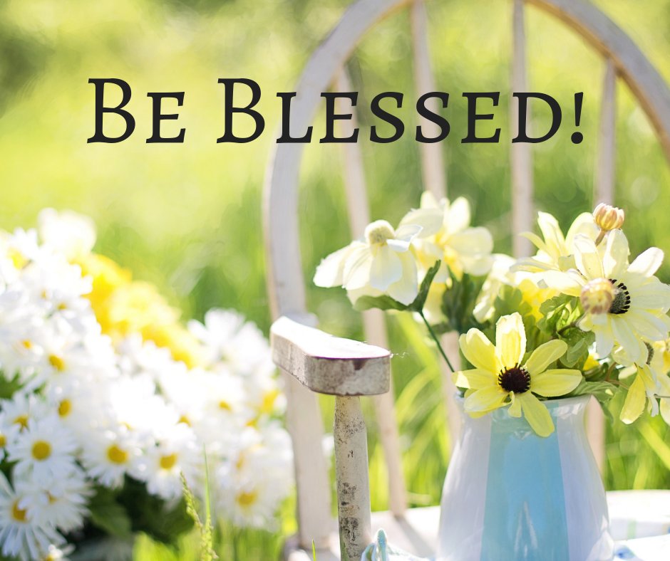 APracticalLife1's tweet image. 