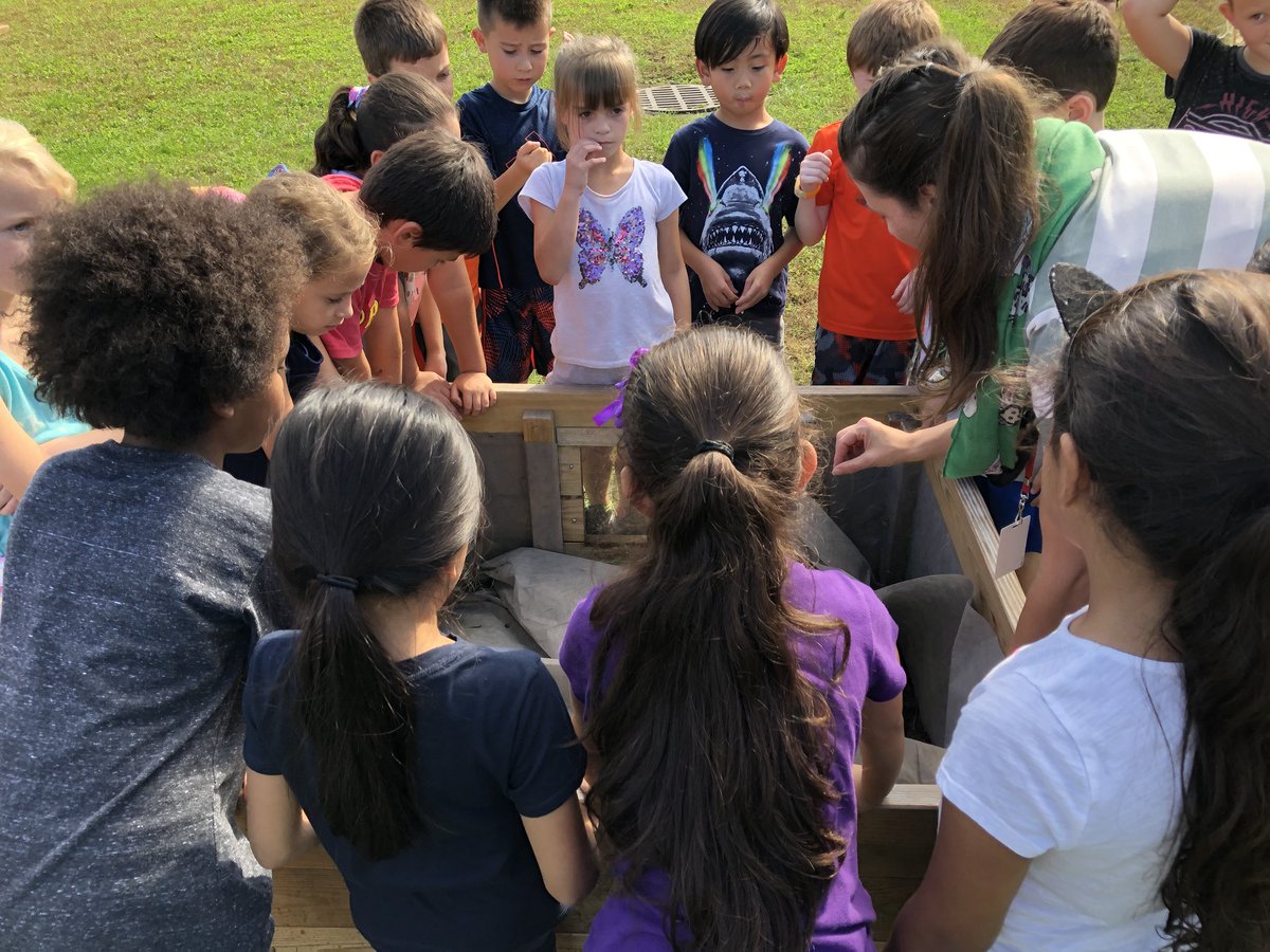 KerryCassetti64's tweet photo. Exploring our “Outdoor Classroom!” Mrs. Apicella had a big chair to sit on while the students sat on colorful mushrooms. She read about plants to connect to our science unit. Some students picked weeds from our planting boxes and observed their roots, while others found worms! https://t.co/AlOshipDTK