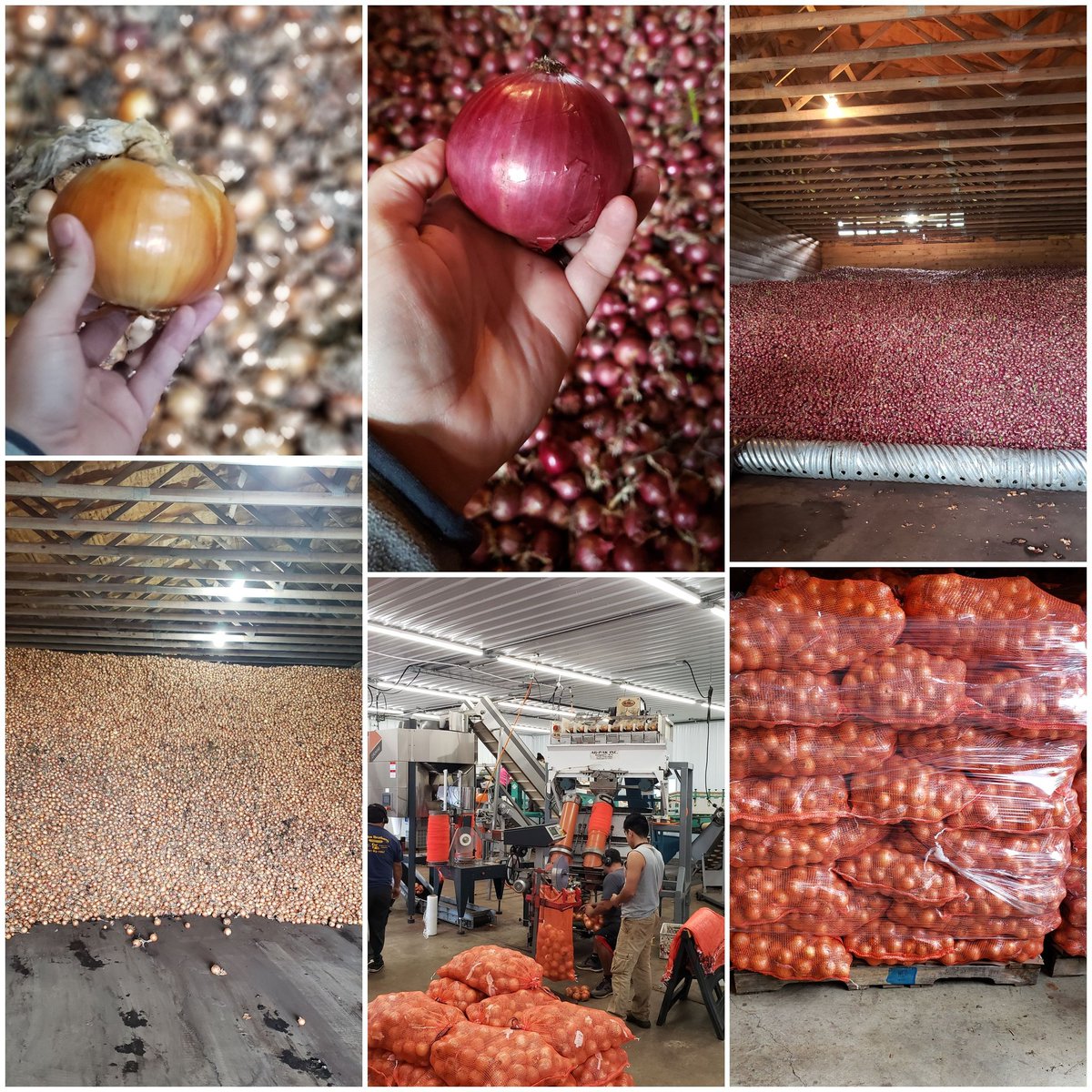 Nick Durchik tweet media