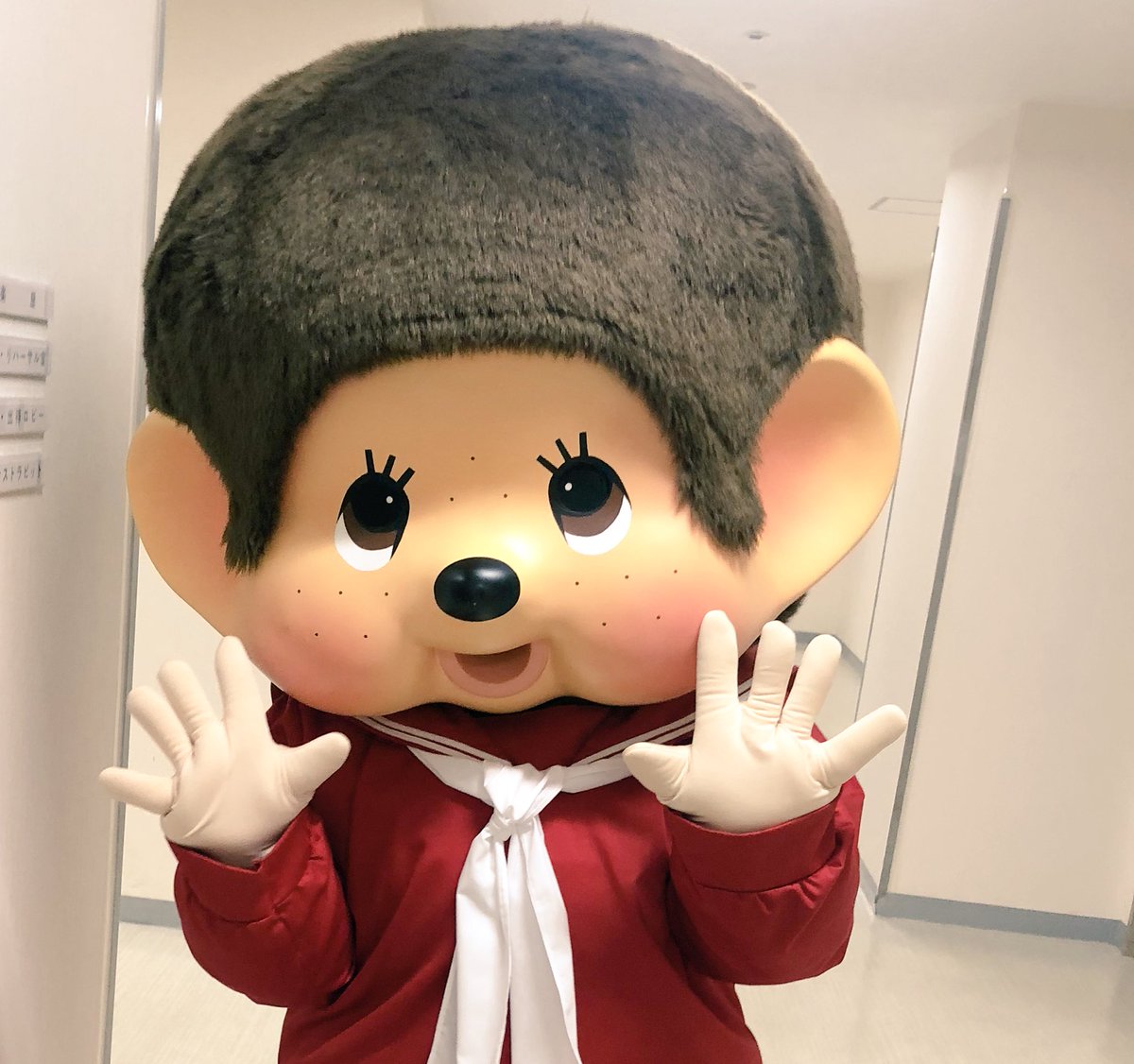 モンチッチ【公式】 on Twitter: