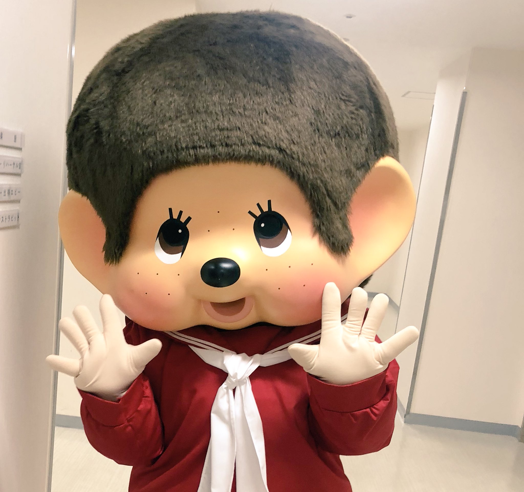 2019年発売 新品 森昌子 ま〜ちゃん モンチッチ 3084 2019年発売 新品 森昌子 ま〜ちゃん モンチッチ 3084