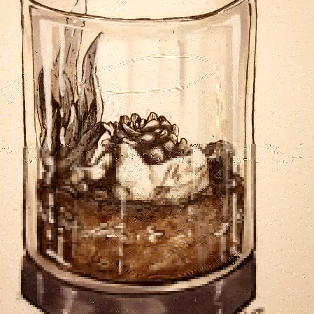 TheCleox's tweet photo. #inktober 3! New #terrarium with my #OC Annah.
#inktoberday3 #inktober2018 #ink #inking #drawing #dailyink #traditionalart #markers #art #artwork #originalart #lineart #inktoberterrarium #originalcharacter #codeveritas #cleox https://t.co/ZGpm8o0J9t