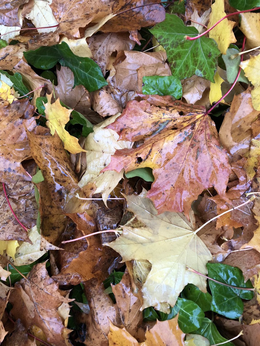 Wet autumn day. The perfect day to be inside at GCS Autumn Fair. Over 30 craft stalls, tea/coffee and scone included in entrance price. All proceeds to Charlenes Project.