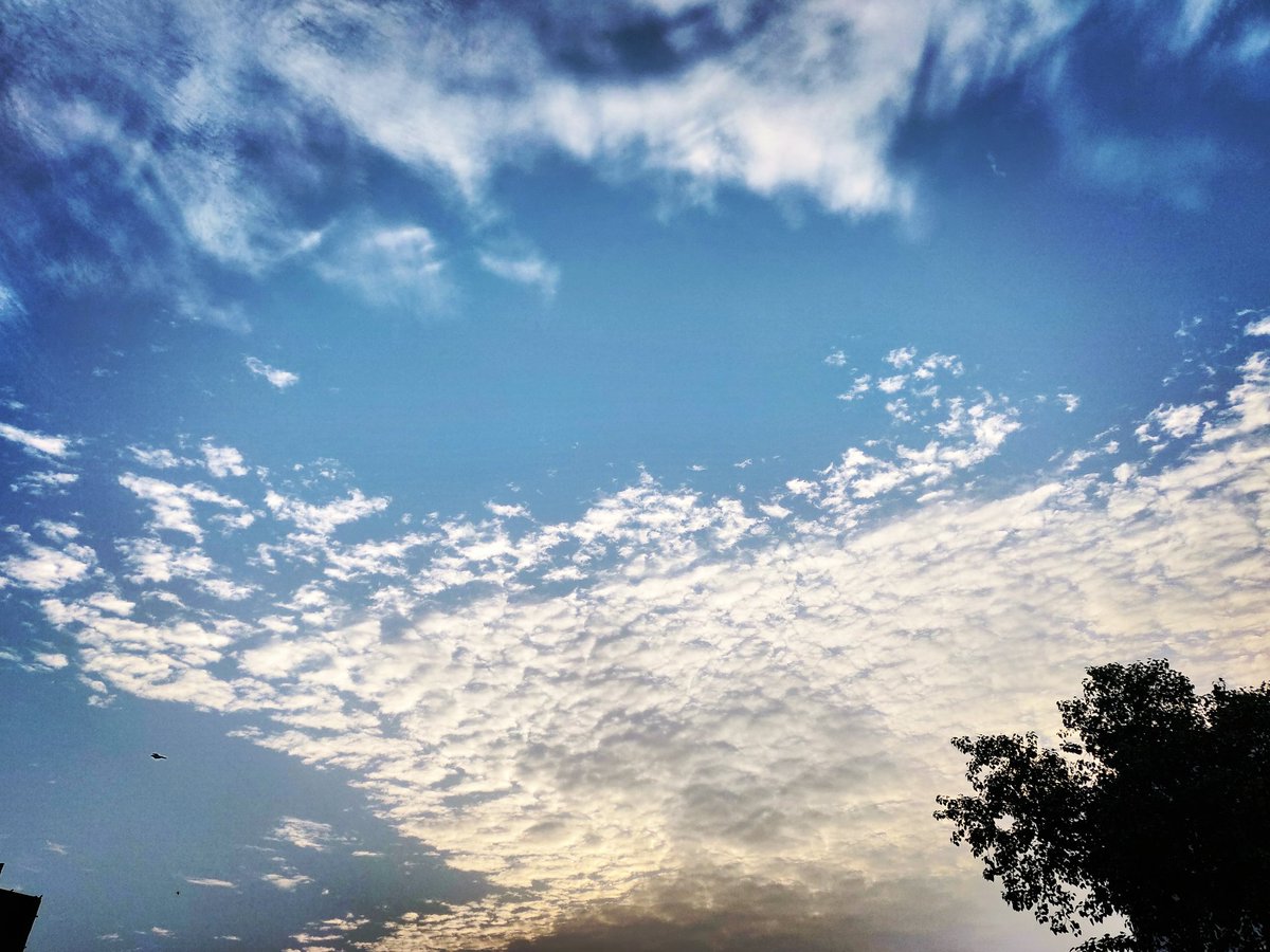 jayukacha's tweet photo. Beautiful Ahmedabad sky(Mobile Upload)...😍😍😍
.
.
.
@oneplus_india
@oneplus
#sky #morningsky #cloudslime #clouds #cloudpattern #bluesky #sunisrising #natureart #skyart #cloudart #cloudartist #cloud9 #cloudy #beautifulsky #tree #naturepic #naturebeauty #ShotonOnePlus https://t.co/90QMggqQpo