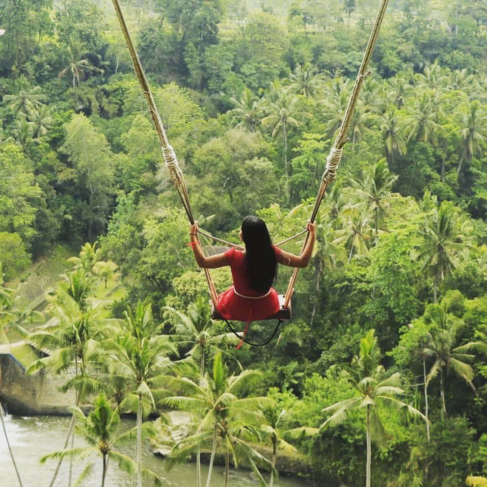 HinalChudasama's tweet photo. What an incredible experience swinging out in the jungle ๐ดโค definately no mood swings out here
#baliswing #flyinghigh #intheclouds #selfcareatitsfinest #jungle #swings #viewforview #exploringbali https://t.co/L0ERTPBrjp