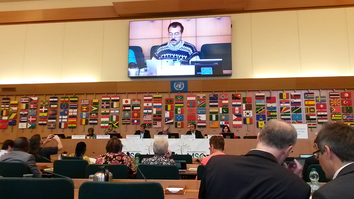 This weekend, smallholder and family farmers, pastoralists, fisherfolks, indigenous peoples, agricultural and food workers, landless, women, youth, consumers, urban food insecure and NGOs come together to discuss the messages they deliver at the #CFS45. <a href="/CSM4CFS/">CSIPM</a> Forum's Opening.