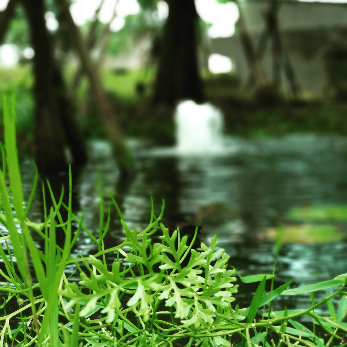 OneWattXYZ's tweet photo. It's a cool damp #Saturday here at #Nangang #Software #Park in Taipei. We'll be here for 3 months participating in the StarMaker program by Inspiring Super Ideas. We begin on Monday and we're very excited! Until then, we'll be appreciating the scenery. https://t.co/74vz4mLVZ2
