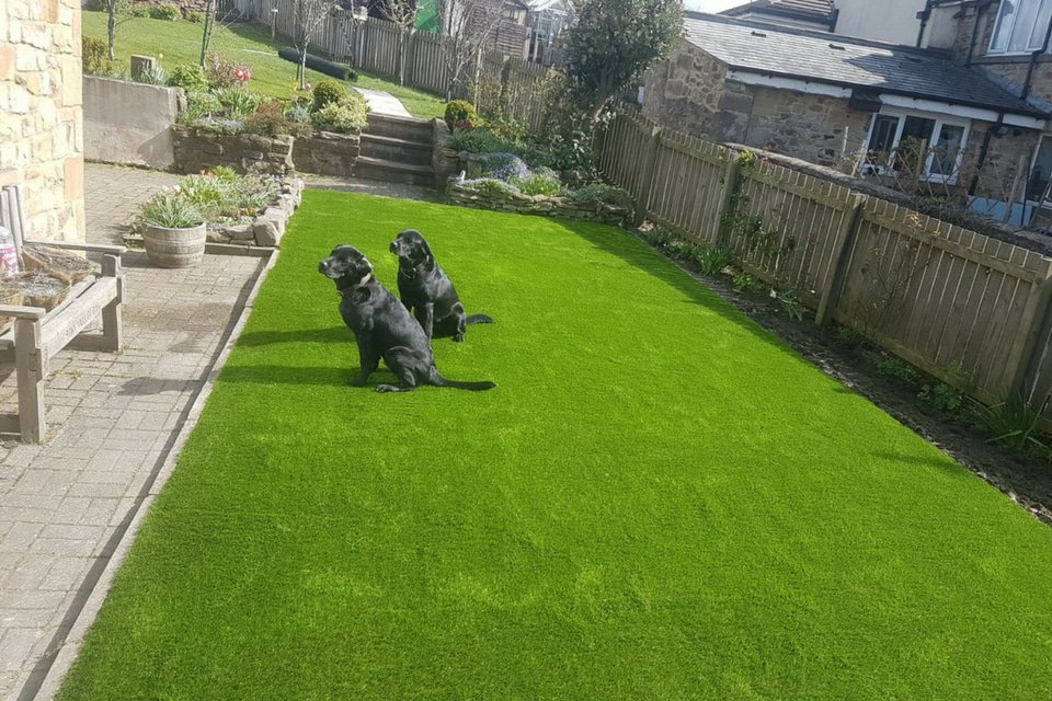 IanHowene's tweet image. Beautiful artificial lawn installations by our team ow.ly/rgb730m0MSZ