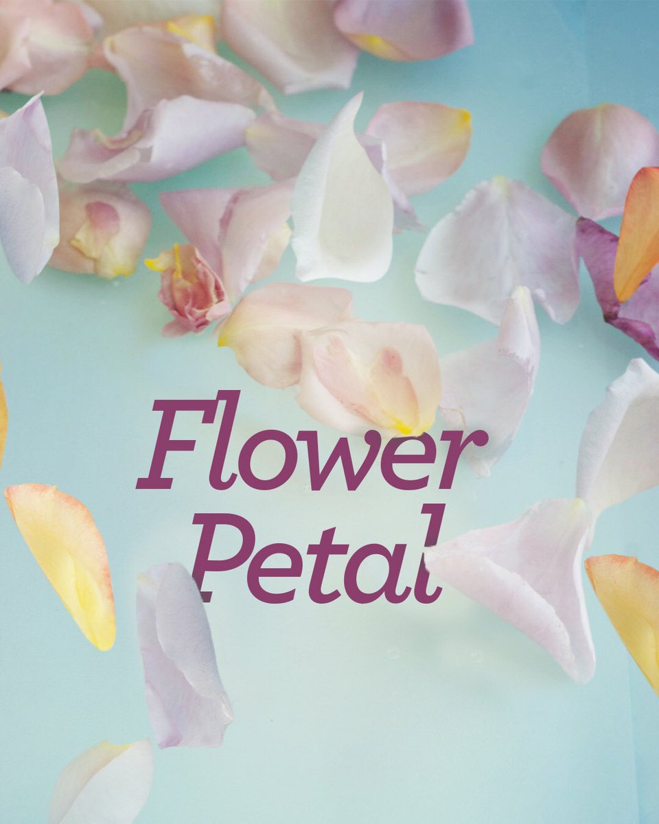 Bu Cumartesi #BirSaatlikTatil ‘ e çıkmanın tam zamanı! Flower Petal masajı ile gözlerini kapat, gül yapraklarının kokusunu içine çek ve yenilen🌸
☎ Rezervasyon için: 02123522500 #SandaSpecials