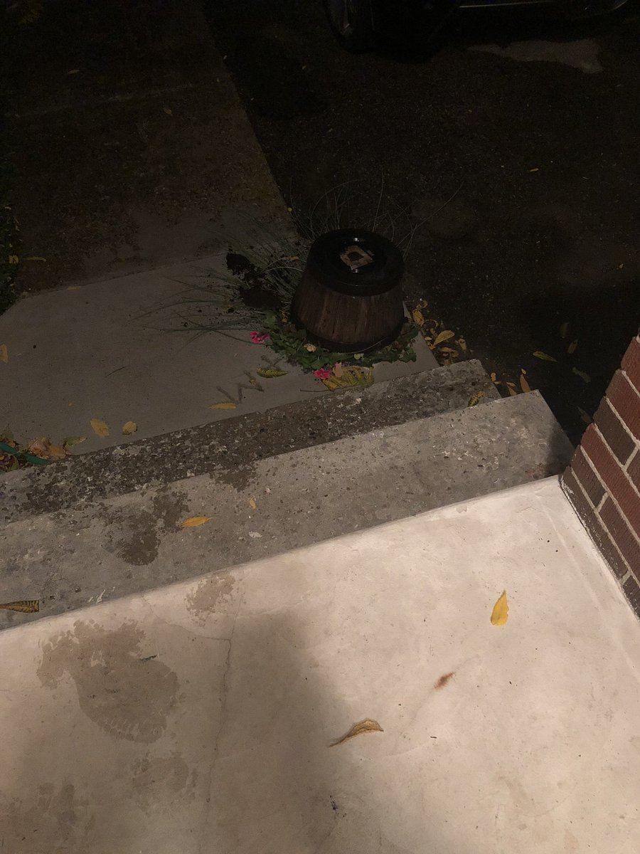 DogNamedTim's tweet photo. @WR_Record this is what happens when you say no thanks to the current promotion to receive the local paper. I didn’t know it meant consequences to my property. https://t.co/QXEtVEnxpw