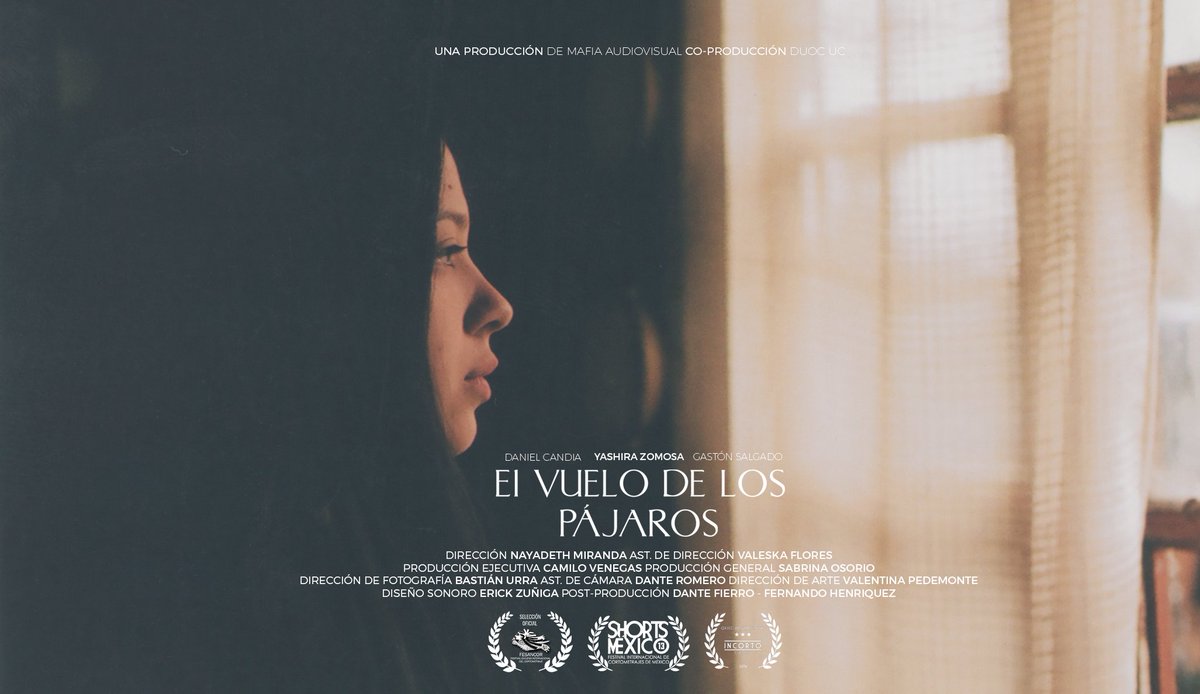 Vuelodepajaros's tweet photo. Estamos muy contentos ¡Somos parte de @FesancorChile!
Esta vez, tendrán la oportunidad de ver "El vuelo de los pájaros" en @CinetecaChile este 22 al 29 de octubre [Programación próxima a confirmar]. #Elvuelodelospájaros #Fesancor #Cortometraje https://t.co/ZqSpElQeck