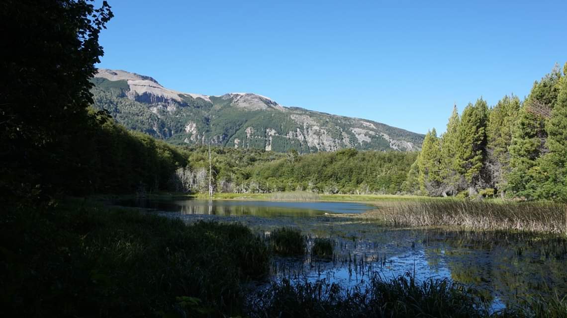 TurismoEnChile's tweet photo. 🌳 RESERVA NACIONAL COYHAIQUE, descubre su belleza escénica y disfruta del silencio profundo de sus milenarios bosques. 🌳 https://t.co/psPQJWN1hA