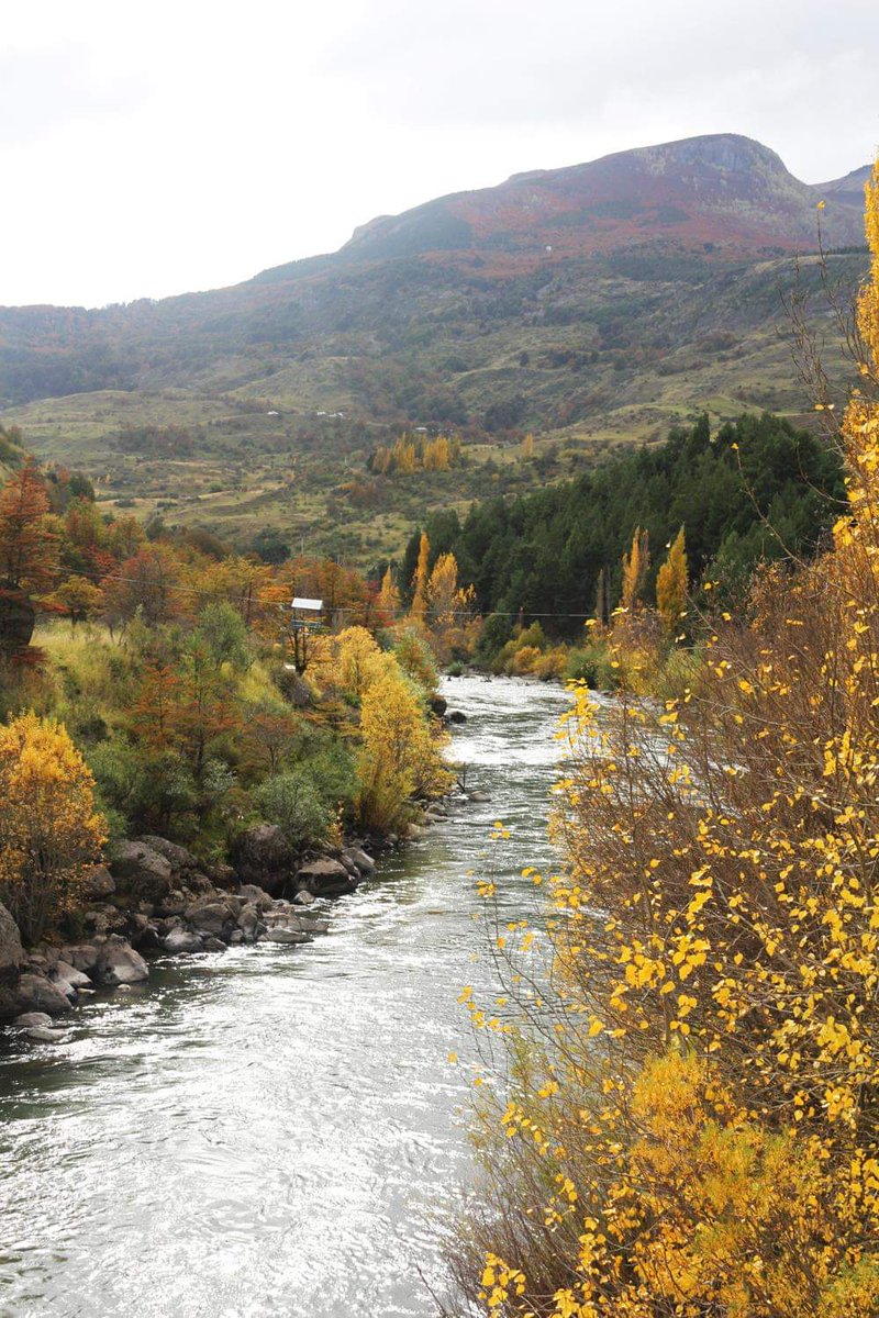 🌳 RESERVA NACIONAL COYHAIQUE, descubre su belleza escénica y disfruta del silencio profundo de sus milenarios bosques. 🌳