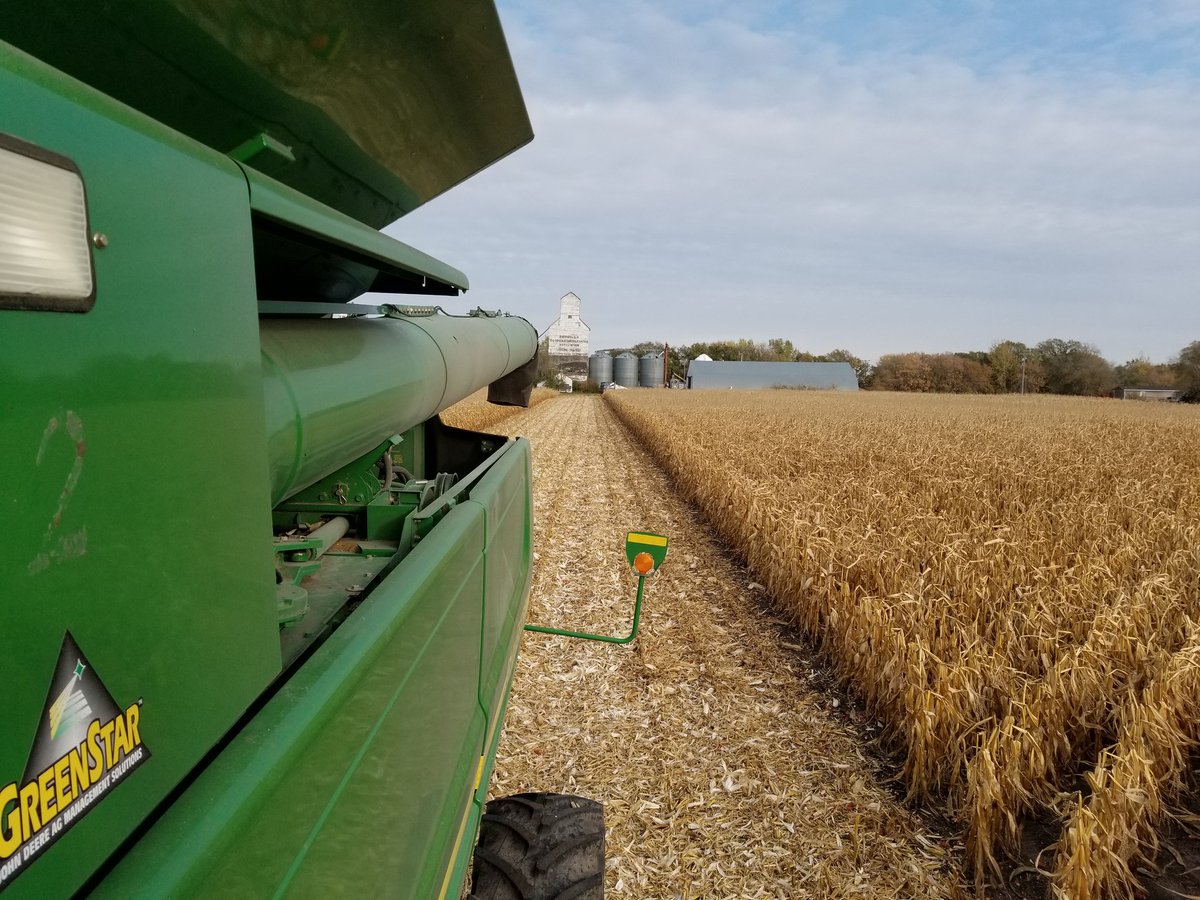 dpecker75's tweet photo. Obligatory first day of corn pics! https://t.co/hY1MTDluEp