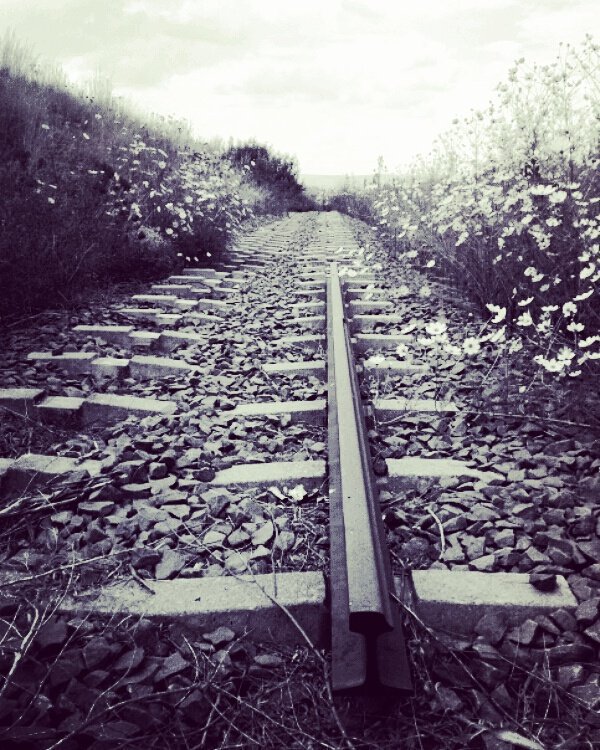 claramih's tweet image. Сложность жизни в том и заключается， что нам дано право выбора， но не дано возможности его избежать...