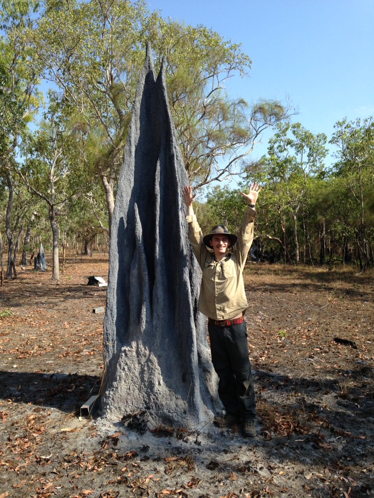 ericjnordberg's tweet photo. Loving the #CapeYork #termite mounds! #research #postdoc #RemoteFieldWork #CSIRO #JCU https://t.co/HCZtm5esnj