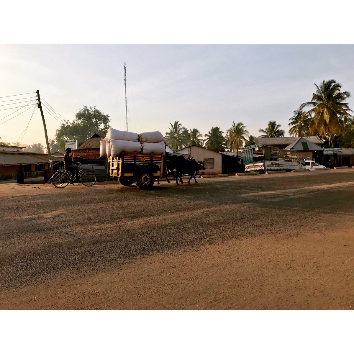 reaganlebi's tweet photo. Title: Usafiri 
Shot by: @reaganlebi
Area code: 545672
Location: Morogoro, Tanzania 
.
.
@apple  #ShotoniPhone #mobilephotography #cityphotography #iPhone #MobilePhotoLovers #PichaNiJadiYetu #exploreTanzania #utaliishots #tztourism #SomewhereInTZ https://t.co/ccuPs7uTKQ