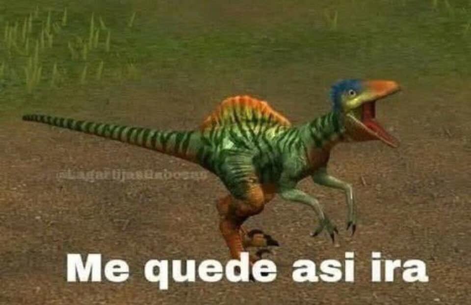 Me di cuenta de que es el primer viernes que no salgo como en 4 meses.