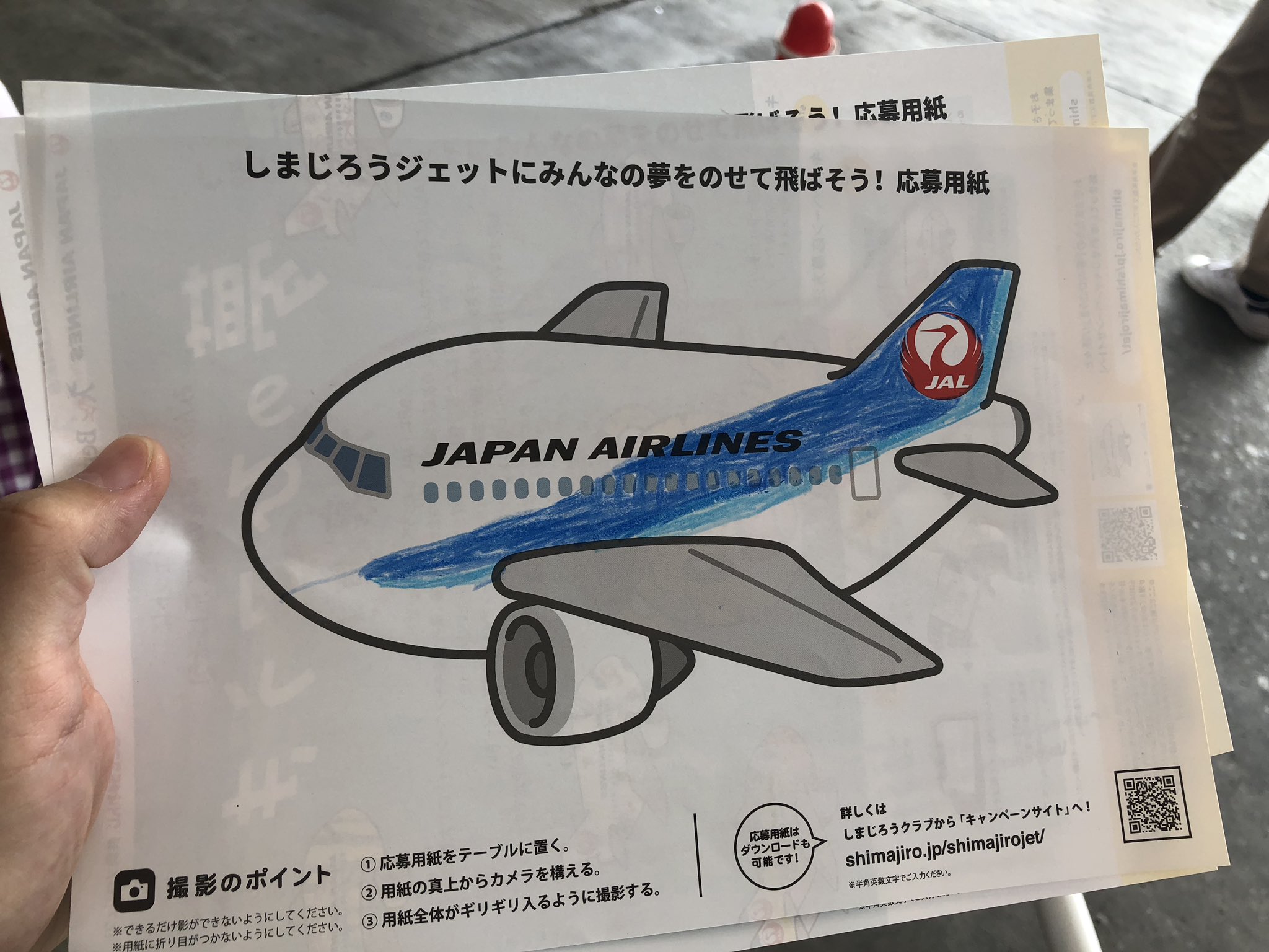 ワイの息子 Jalの 飛行機塗り絵 でとんでもない作品を生み出すｗｗ えのげ