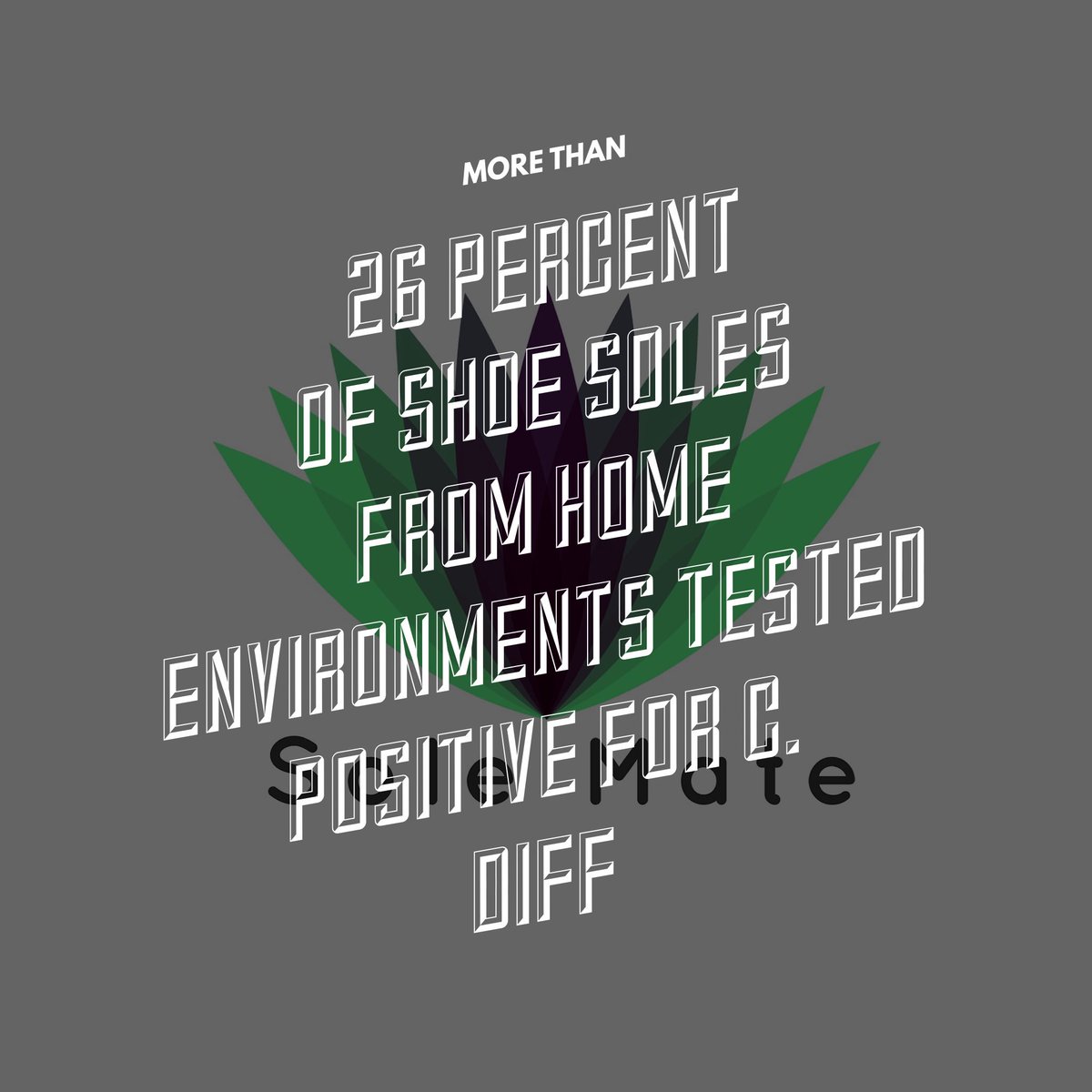 Sole Mate Co. (@SoleMateCo1) / Posts / X