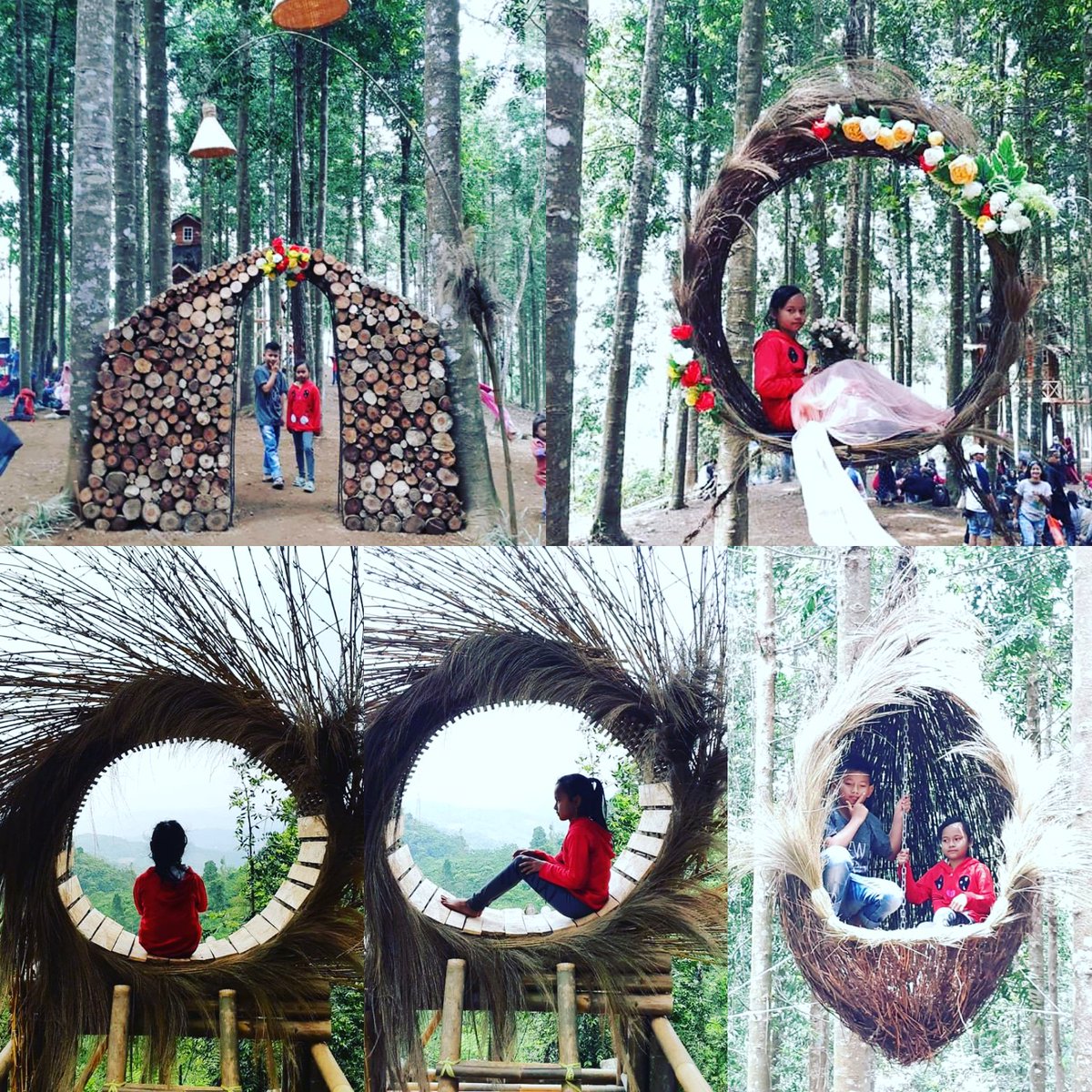 LebakGenpi's tweet photo. #DestinasiHutanDamarCibeber 
Hayuu Liburan Yuuk ke Destinasi Wisata HUTAN DAMAR dikawasan Kebun Teh Cikuya Hegarmanah Cibeber-Lebak Provinsi Banten. @genpi_id @ir_ariefyahya @donkardono @EnengNurcahyati @genpibanten @viaj https://t.co/sLi0wcPJNL