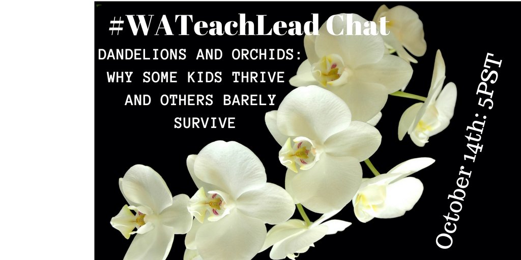 kinderkfoley's tweet photo. Join us this Sunday at 5pm to talk about Dandelions and Orchids, #NeuralEd #WATeachLead https://t.co/whUouuTqyN