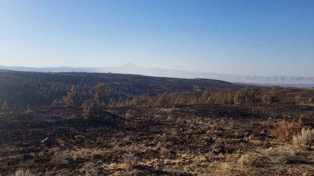 GrasslandNerd's tweet photo. #BoxcarFire near Maupin, OR with #MtHood in the background. This fire occurred in late June and burned ~99,000 acres. https://t.co/wT87cYnZJw
