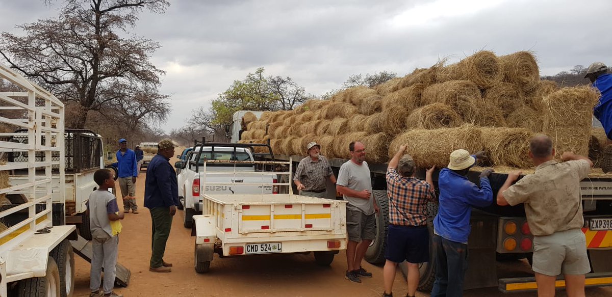 boere_in's tweet photo. #Boereinnood
@Klankkoerant 
@ESaampraat 
Vrag voer naby  Radium  gelaai  Baie baie dankie oom Awie vir skenking. Dan groot dankie Jaco van Afriforum  wat vervoer gereel het .Vrag is oppad na  Ellisras https://t.co/QDO1FOIMOy