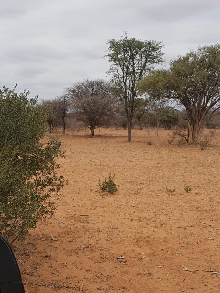 boere_in's tweet photo. #Boereinnood
@Klankkoerant 
@ESaampraat 
Vrag voer naby  Radium  gelaai  Baie baie dankie oom Awie vir skenking. Dan groot dankie Jaco van Afriforum  wat vervoer gereel het .Vrag is oppad na  Ellisras https://t.co/QDO1FOIMOy