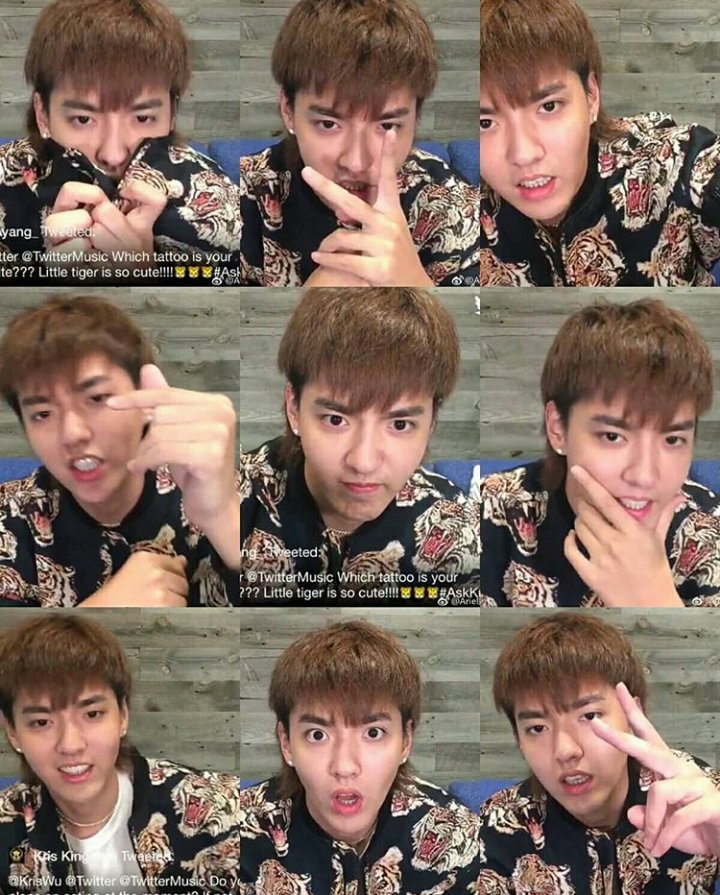 ppearl28300's tweet image. HAPPINESS IS
WHEN U COULDN'T SLEEP AT NIGHT AND THEN SUDDENLY GOT NOTIFICATION OF UR ULT DOING LIVE ANSWERING SESSION AND U'RE THE FIRST ONE TO VIEW OR TO LIKE THE TWEET🙈🙈🙈

WU YIFAN, U'RE SO ADORABLE AND I LOVE U SO VERY MUCH♥♥♥

#KrisWu 
#KrisPak