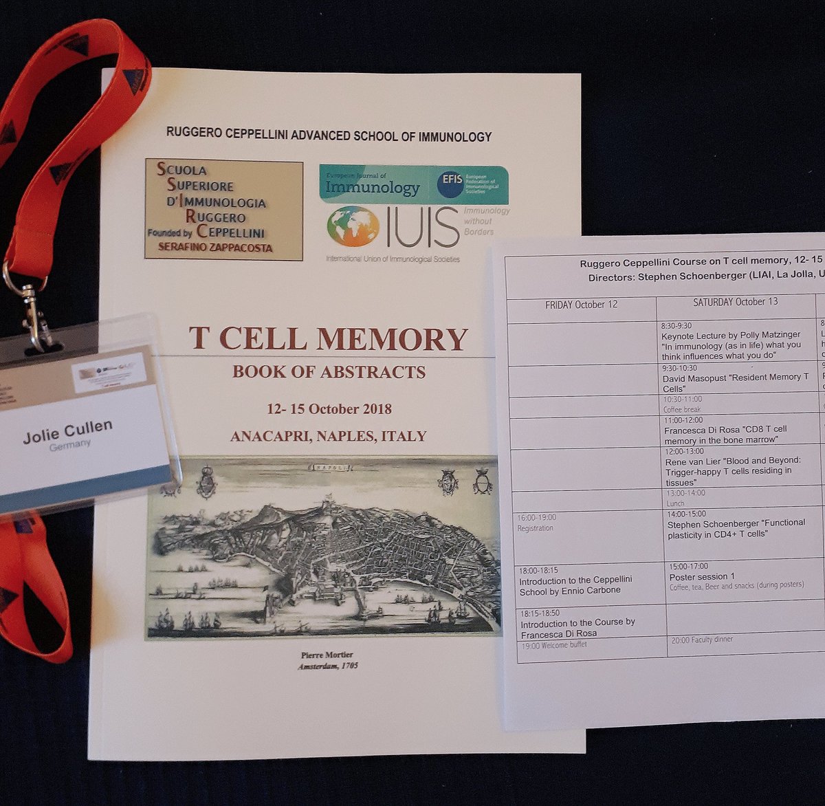 jolie_cullen's tweet photo. First day of talks at #TCellMemory, check out that impressive line up! Very exciting! #immunology https://t.co/PQyZKz3ZtG