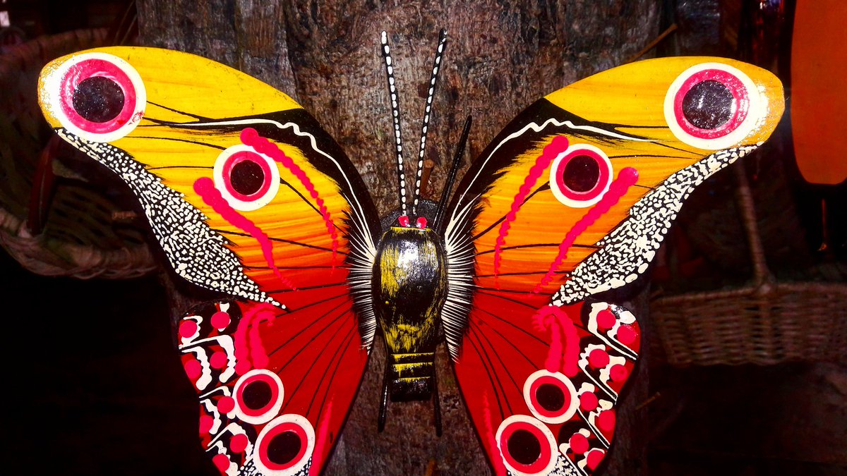 JuanTravesias's tweet photo. Mariposas!
Hermosa artesanías en #SanAntero para que el visitante pueda llevar una muestra de lo hermoso de la tierra del #FestiBurro. @artesaniasdcol
@IvanDuque
#JuanTravesias https://t.co/NoJKS7Djxy