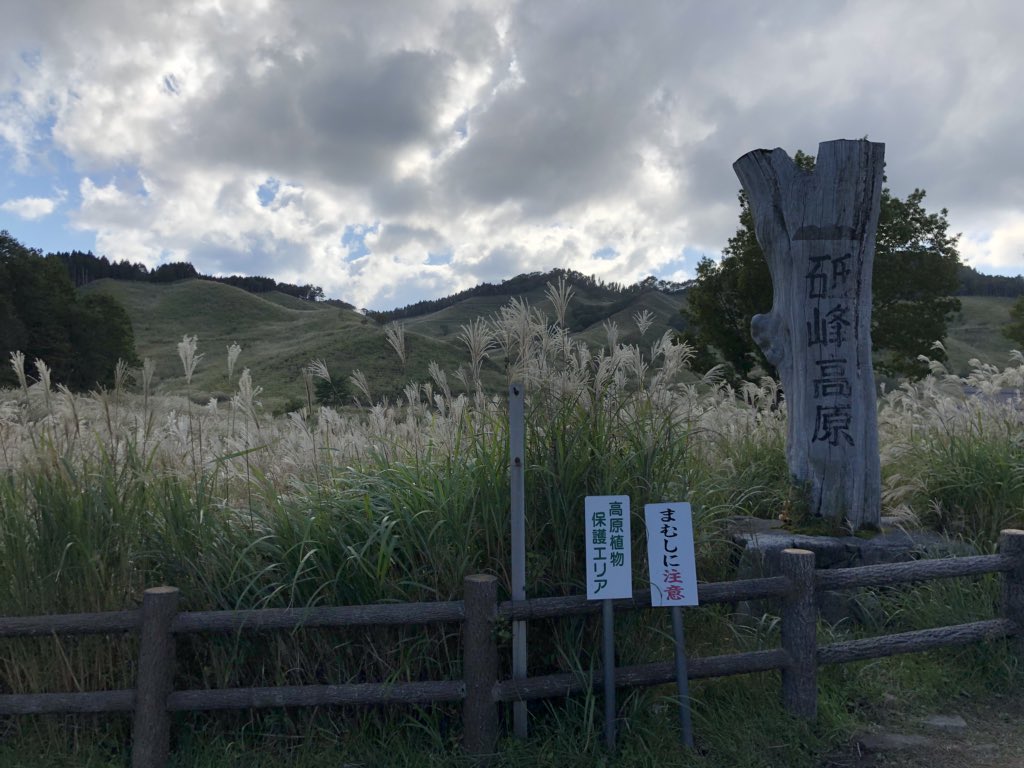 yohei_desu's tweet photo. #とのみね高原
#砥峰高原
#すすき
#兵庫県
#兵庫県福崎郡
#ススキ
ナイスっ絶景🎑
気温20度ぐらいで気持ちいい‼️ https://t.co/L6jfNHWUEB