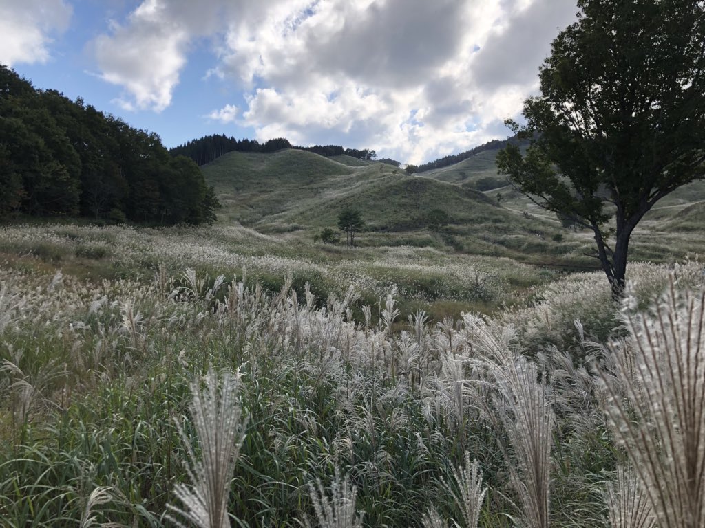 yohei_desu's tweet photo. #とのみね高原
#砥峰高原
#すすき
#兵庫県
#兵庫県福崎郡
#ススキ
ナイスっ絶景🎑
気温20度ぐらいで気持ちいい‼️ https://t.co/L6jfNHWUEB