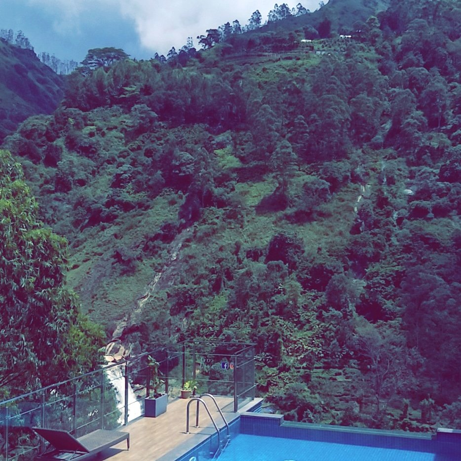 blanketmunnar's tweet photo. There is no existing words to express the beauty of nature #blanketmunnar #Kerala #swimmingpool_hotel #munnarresort #exploremunnar #munnarholidays
https://t.co/QjG8relxiL https://t.co/PFxzIgDQNn
