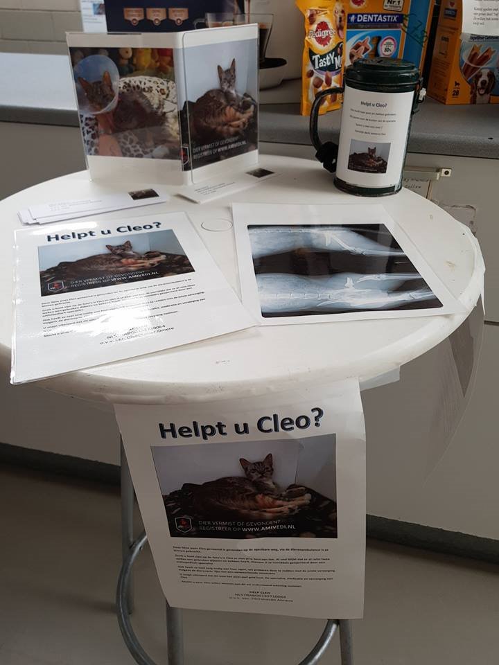Helpt u #asielkat Cleo ? 
Gevonden en geopereerd door orthopedisch chirurg.
facebook.com/Dierenasiel-Al…