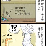 怖いものは見ないようにするオウムwその処世術が人間のようだった!