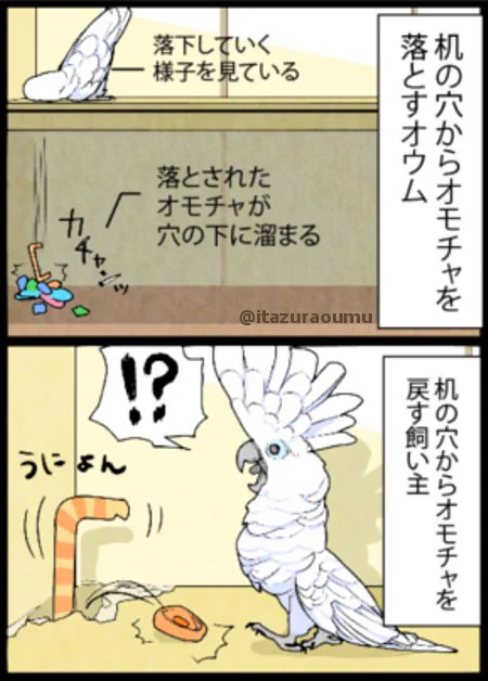 怖いもの（嫌なもの）は見ないようにする、我が家のオウムの処世術。 