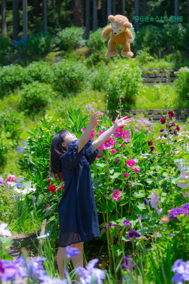 kyumuu's tweet photo. 東温市　花菖蒲園（はなしょうぶ）
白猪の滝
はるかさん♪
最終第三弾！！
最近はめっきり寒くなってきたから
暖かい日差しと癒やしのはるさんでのお届け♪

宇宙の寿命はあと1400億年はあるという・・・
https://t.co/sMr3Y19apw

#愛媛ポートレートの会 https://t.co/pN0hnJMD5d
