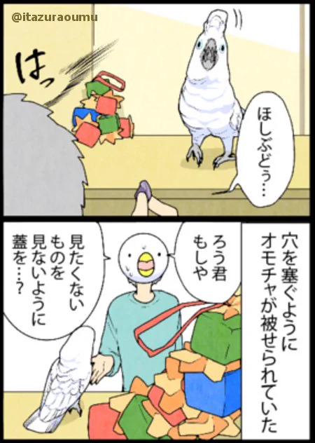 怖いものは見ないようにするオウムwwその処世術が人間のようだった！！