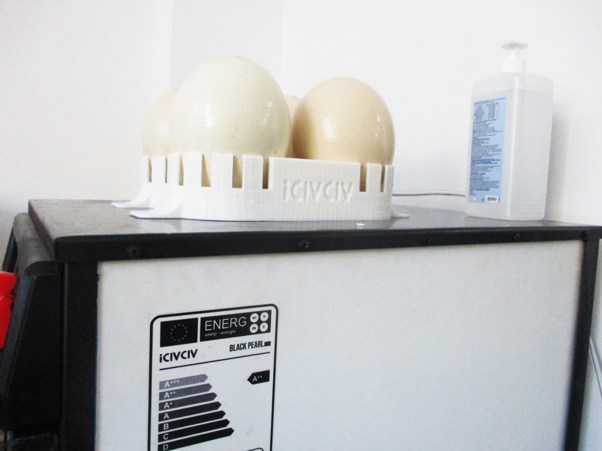 Günaydın iyi tatiler herkese... #iciviciv #blackpearl #devekuşu #kuluçkamakinası