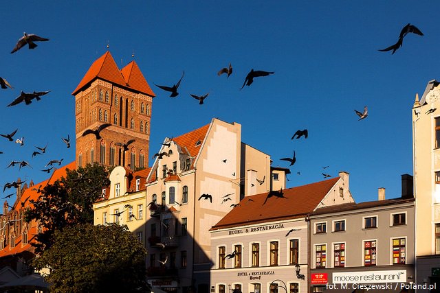 Polska's tweet photo. Cóż za wspaniały #WeekendInPolska! Dziś zapraszamy do pięknego Torunia, miejsca narodzin wielkiego Mikołaja Kopernika.
Najsłynniejszym produktem miasta są oczywiście toruńskie pierniczki. Długa tradycja ich wyrobu w Toruniu sięga XIII wieku. 🧡 https://t.co/JVzNziQxBs