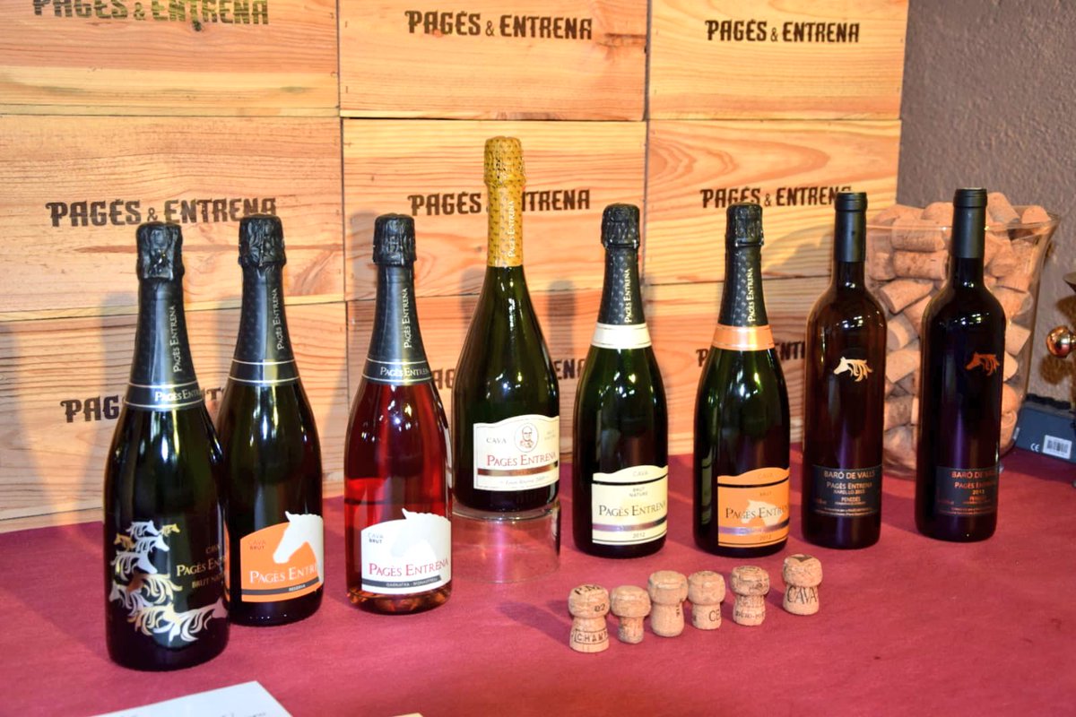 carles_gi's tweet photo. De visita a Can #CavaPagesEntrena grans professionals i molt bons amics. Sempre ens reben amb els braços oberts i cuiden molt al #iTrasto. #Beagle #Cava #pagesentrena @pagesentrena #JornadaPortesObertes https://t.co/YVe3K7NDTE