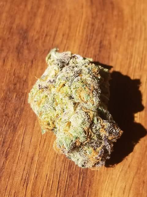 NeilSamra1's tweet photo. @_jena4n @Hippie_of_Love @SweetLe54176362 @TheLoudBank @realmedicineMI @Jweeds_420 @EmeraldZoo @james_bong13 @enokian1 @Krispykreme69 You know I do💯💯 #NothinButFlameJane #AlwaysDank #WeShouldSmoke #Gelato🍨 #LarryBird🏀 https://t.co/O65aVXFTaF