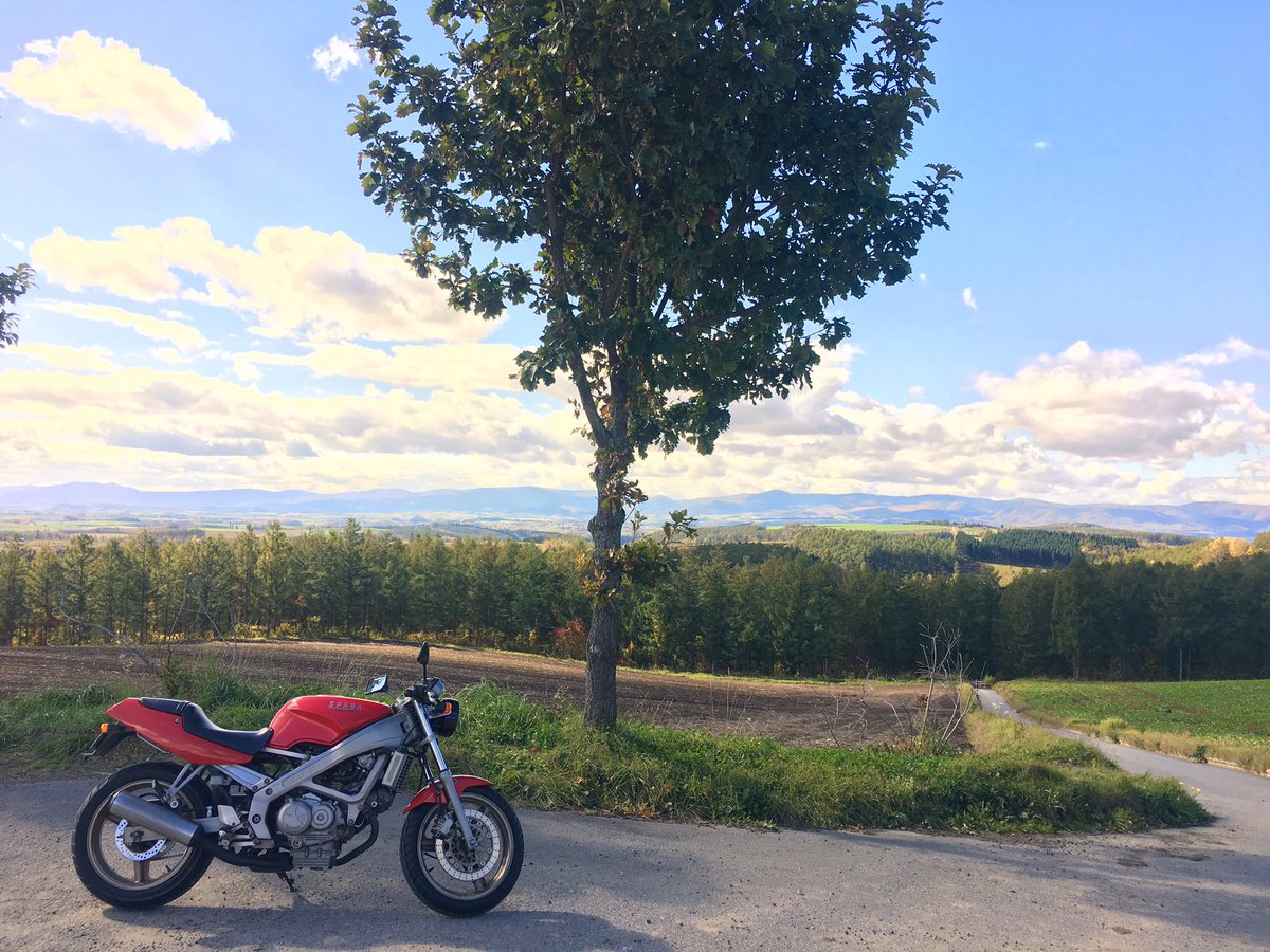 らりくす tweet media